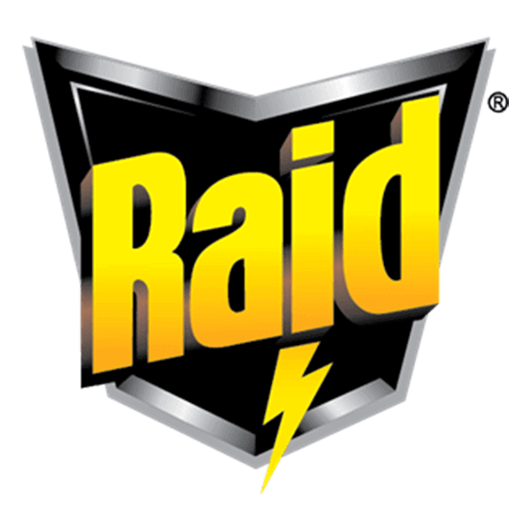 Raid Vietnam