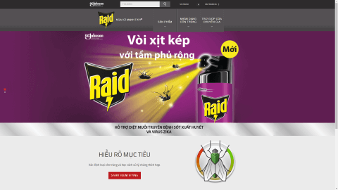 Raid Vietnam